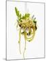 Spaghetti with Rocket on Spaghetti Server-Marc O^ Finley-Mounted Photographic Print