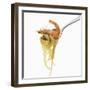 Spaghetti with Seafood, Italy, Europe-Angelo Cavalli-Framed Photographic Print