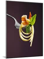 Spaghetti with Shrimp and Basil on a Fork-Kai Stiepel-Mounted Photographic Print