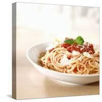 Spaghetti with Tomato Sauce and Parmigiano-null-Stretched Canvas