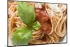 Spaghetti with Tomato Sauce, Basil and Parmesan (Close-Up)-Foodcollection-Mounted Photographic Print