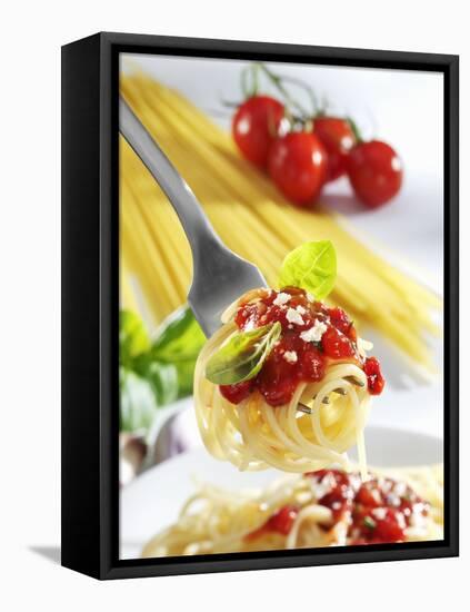 Spaghetti with Tomato Sauce on a Fork-Karl Newedel-Framed Stretched Canvas