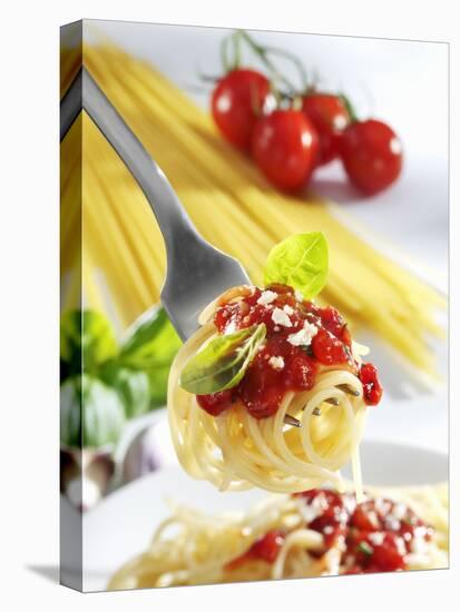 Spaghetti with Tomato Sauce on a Fork-Karl Newedel-Stretched Canvas