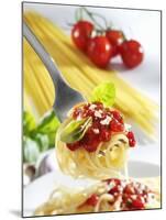 Spaghetti with Tomato Sauce on a Fork-Karl Newedel-Mounted Photographic Print