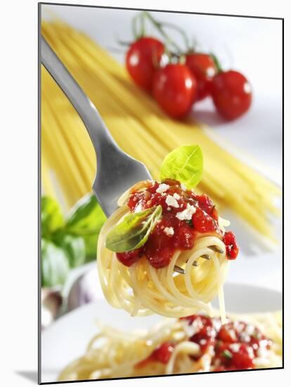 Spaghetti with Tomato Sauce on a Fork-Karl Newedel-Mounted Photographic Print