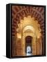 Spain, Andalucia, Cordoba, Mezquita Catedral (Mosque - Cathedral) (UNESCO Site)-Michele Falzone-Framed Stretched Canvas