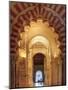 Spain, Andalucia, Cordoba, Mezquita Catedral (Mosque - Cathedral) (UNESCO Site)-Michele Falzone-Mounted Photographic Print