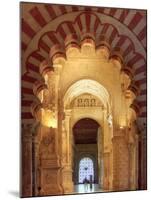 Spain, Andalucia, Cordoba, Mezquita Catedral (Mosque - Cathedral) (UNESCO Site)-Michele Falzone-Mounted Photographic Print