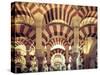 Spain, Andalucia, Cordoba, Mezquita Catedral (Mosque - Cathedral) (UNESCO Site)-Michele Falzone-Stretched Canvas