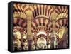 Spain, Andalucia, Cordoba, Mezquita Catedral (Mosque - Cathedral) (UNESCO Site)-Michele Falzone-Framed Stretched Canvas
