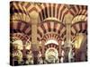 Spain, Andalucia, Cordoba, Mezquita Catedral (Mosque - Cathedral) (UNESCO Site)-Michele Falzone-Stretched Canvas