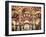 Spain, Andalucia, Cordoba, Mezquita Catedral (Mosque - Cathedral) (UNESCO Site)-Michele Falzone-Framed Photographic Print