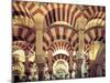 Spain, Andalucia, Cordoba, Mezquita Catedral (Mosque - Cathedral) (UNESCO Site)-Michele Falzone-Mounted Photographic Print