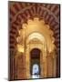 Spain, Andalucia, Cordoba, Mezquita Catedral (Mosque - Cathedral) (UNESCO Site)-Michele Falzone-Mounted Premium Photographic Print