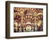 Spain, Andalucia, Cordoba, Mezquita Catedral (Mosque - Cathedral) (UNESCO Site)-Michele Falzone-Framed Photographic Print