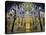 Spain, Andalucia, Cordoba Province, Cordoba, Mezquita, Cathedral of Cordoba-Alan Copson-Stretched Canvas