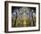 Spain, Andalucia, Cordoba Province, Cordoba, Mezquita, Cathedral of Cordoba-Alan Copson-Framed Photographic Print