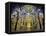 Spain, Andalucia, Cordoba Province, Cordoba, Mezquita, Cathedral of Cordoba-Alan Copson-Framed Stretched Canvas