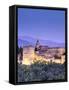 Spain, Andalucia, Granada, Alhambra Palace Complex (UNESCO Site)-Michele Falzone-Framed Stretched Canvas