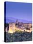 Spain, Andalucia, Granada, Alhambra Palace Complex (UNESCO Site)-Michele Falzone-Stretched Canvas