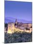 Spain, Andalucia, Granada, Alhambra Palace Complex (UNESCO Site)-Michele Falzone-Mounted Photographic Print