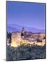 Spain, Andalucia, Granada, Alhambra Palace Complex (UNESCO Site)-Michele Falzone-Mounted Premium Photographic Print