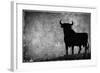 Spain, Andalucia, Jerez De la Frontera, El Cuadrejon, An Osborne Bull or Toro De Osborne-Alan Copson-Framed Photographic Print