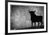 Spain, Andalucia, Jerez De la Frontera, El Cuadrejon, An Osborne Bull or Toro De Osborne-Alan Copson-Framed Photographic Print