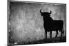 Spain, Andalucia, Jerez De la Frontera, El Cuadrejon, An Osborne Bull or Toro De Osborne-Alan Copson-Mounted Premium Photographic Print