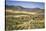 Spain, Andalucia. Olive Trees Endless Field in Summer.-Francesco Riccardo Iacomino-Stretched Canvas