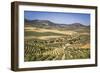 Spain, Andalucia. Olive Trees Endless Field in Summer.-Francesco Riccardo Iacomino-Framed Photographic Print