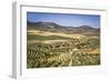 Spain, Andalucia. Olive Trees Endless Field in Summer.-Francesco Riccardo Iacomino-Framed Photographic Print