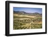 Spain, Andalucia. Olive Trees Endless Field in Summer.-Francesco Riccardo Iacomino-Framed Photographic Print