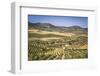 Spain, Andalucia. Olive Trees Endless Field in Summer.-Francesco Riccardo Iacomino-Framed Photographic Print