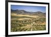 Spain, Andalucia. Olive Trees Endless Field in Summer.-Francesco Riccardo Iacomino-Framed Photographic Print