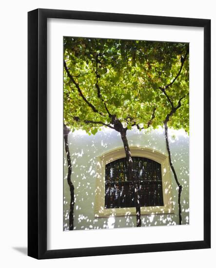 Spain, Andalucia Region, Cadiz Province, Sherry Triangle Area, Jerez De La Frontera, Bodegas Gonzal-Walter Bibikow-Framed Photographic Print