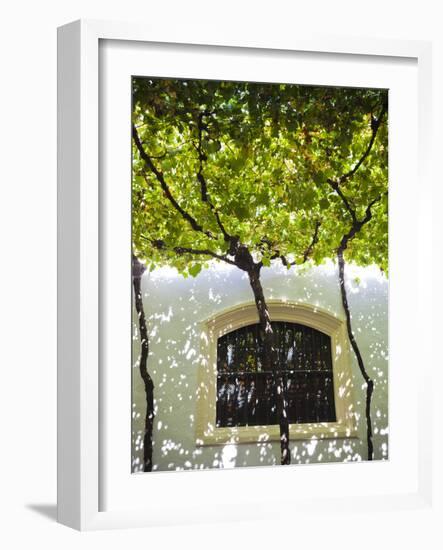 Spain, Andalucia Region, Cadiz Province, Sherry Triangle Area, Jerez De La Frontera, Bodegas Gonzal-Walter Bibikow-Framed Photographic Print