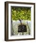 Spain, Andalucia Region, Cadiz Province, Sherry Triangle Area, Jerez De La Frontera, Bodegas Gonzal-Walter Bibikow-Framed Photographic Print