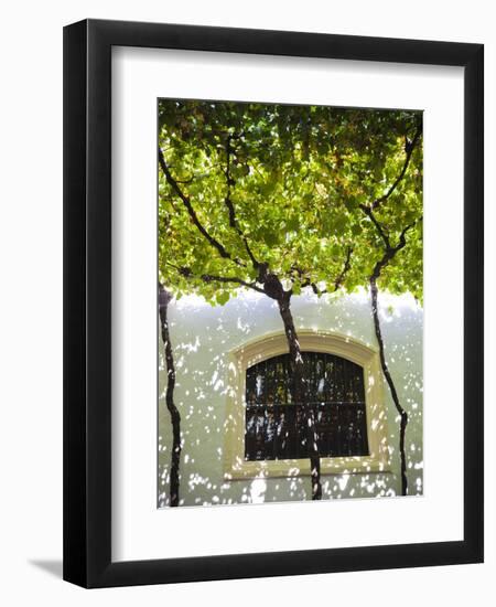 Spain, Andalucia Region, Cadiz Province, Sherry Triangle Area, Jerez De La Frontera, Bodegas Gonzal-Walter Bibikow-Framed Premium Photographic Print