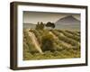 Spain, Andalucia Region, Jaen Province, Jaen-Area, Olive Trees-Walter Bibikow-Framed Photographic Print