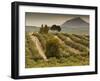 Spain, Andalucia Region, Jaen Province, Jaen-Area, Olive Trees-Walter Bibikow-Framed Photographic Print