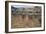 Spain, Andalusia, Ancient Italica, Central Arena Underground Spaces of Amphitheatre-null-Framed Giclee Print