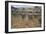 Spain, Andalusia, Ancient Italica, Central Arena Underground Spaces of Amphitheatre-null-Framed Giclee Print