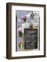 Spain, Andalusia, Cadiz Province, Tarifa. Outdoor Cafè in the Old Town-Matteo Colombo-Framed Photographic Print