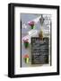 Spain, Andalusia, Cadiz Province, Tarifa. Outdoor Cafè in the Old Town-Matteo Colombo-Framed Photographic Print