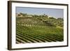 Spain, Andalusia, Cadiz Province. Vineyard field and olive grove.-Julie Eggers-Framed Photographic Print