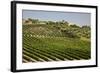 Spain, Andalusia, Cadiz Province. Vineyard field and olive grove.-Julie Eggers-Framed Photographic Print