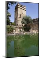 Spain, Andalusia, Cordoba, Alcazar of Cordoba (Alcazar de los Reyes Cristianos), Tower-Samuel Magal-Mounted Photographic Print