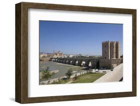 Spain, Andalusia, Cordoba, Calahorra Tower-Samuel Magal-Framed Photographic Print