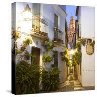 Spain, Andalusia, Cordoba. Calleja De Las Flores (Street of the Flowers) in the Old Town, at Dusk-Matteo Colombo-Stretched Canvas